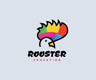 教育机构Rooster