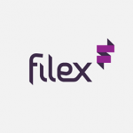 FILEX标志