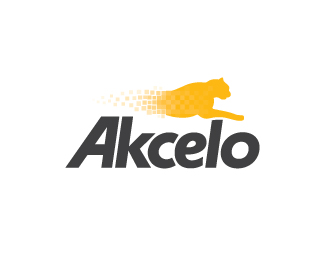 Akcelo美洲豹软件公司