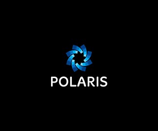 保险公司Polaris