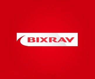 刹车片产品Bixary